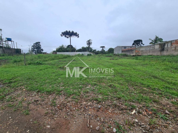 Imagem Terreno à Venda, em Vila Juliana - Piraquara Imagem Terreno à Venda, em Vila Juliana - Piraquara
