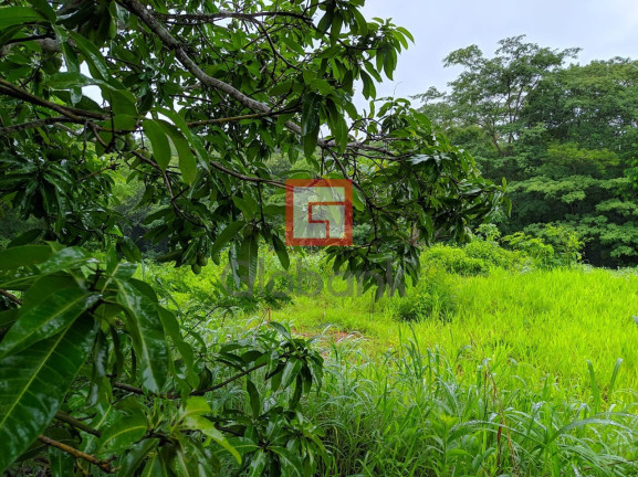 Imagem Imóvel com 3 Quartos à Venda, em Zona Rural - Montes Claros Imagem Imóvel com 3 Quartos à Venda, em Zona Rural - Montes Claros