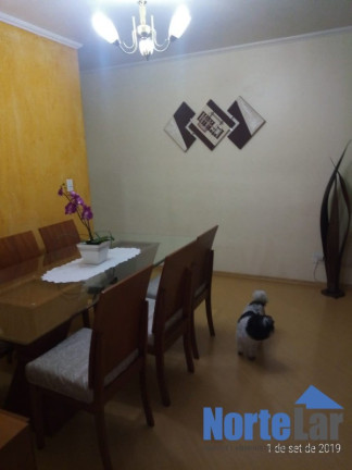 Imagem Apartamento com 3 Quartos à Venda, 63 m² em Vila Nova Cachoeirinha - São Paulo Imagem Apartamento com 3 Quartos à Venda, 63 m² em Vila Nova Cachoeirinha - São Paulo
