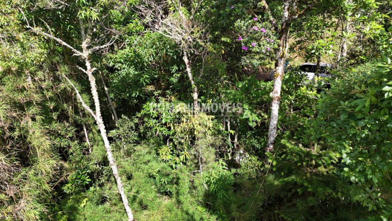 Imagem Terreno à Venda, 1.275 m² em Região Do Parque Pedra Do Baú - Campos Do Jordão Imagem Terreno à Venda, 1.275 m² em Região Do Parque Pedra Do Baú - Campos Do Jordão