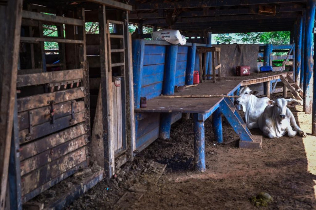 Imagem Fazenda à Venda, 2.000 m² em Zona Rural - Conquista Imagem Fazenda à Venda, 2.000 m² em Zona Rural - Conquista