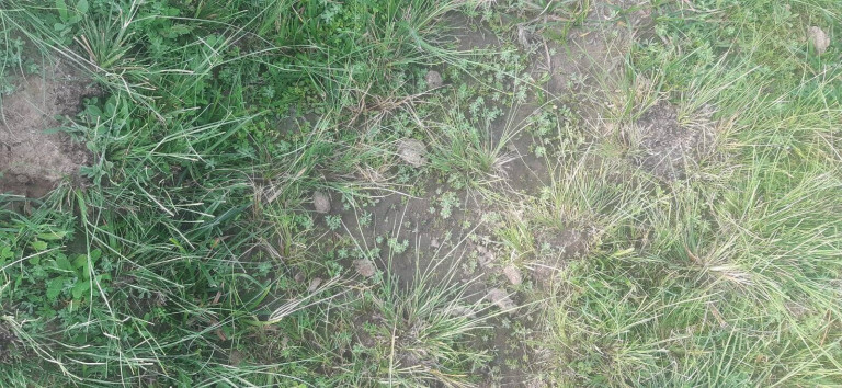 Imagem Terreno à Venda, 16 m² em Itaqui Imagem Terreno à Venda, 16 m² em Itaqui