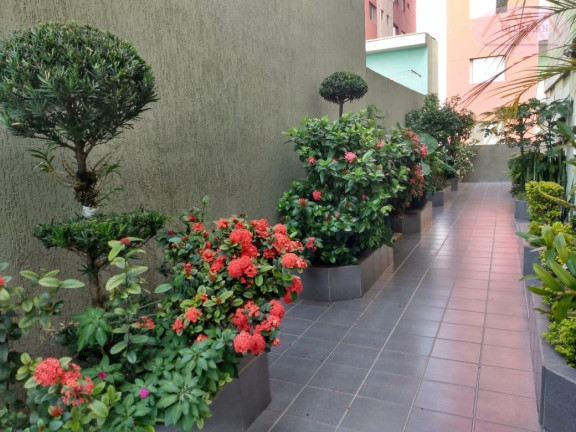 Imagem Apartamento com 2 Quartos à Venda, 60 m² em Rudge Ramos - São Bernardo Do Campo Imagem Apartamento com 2 Quartos à Venda, 60 m² em Rudge Ramos - São Bernardo Do Campo