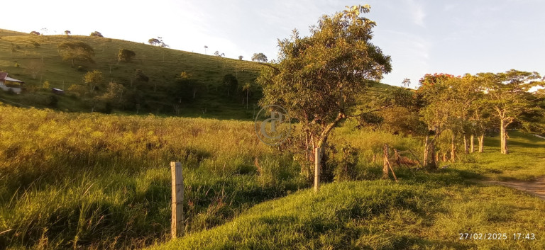 Imagem Fazenda à Venda, 1.010.000 m² em Jardim São Dimas - São José Dos Campos