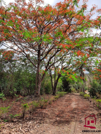 Imagem Imóvel com 2 Quartos à Venda, 350 m² em Barrania - Barrânia Imagem Imóvel com 2 Quartos à Venda, 350 m² em Barrania - Barrânia
