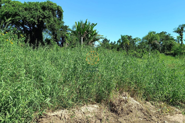 Imagem Terreno à Venda, 318 m² em Balneário São Carlos Ii - Pontal Do Paraná