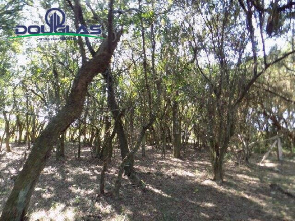 Imagem Chácara à Venda, 20.000 m² em águas Claras - Viamão
