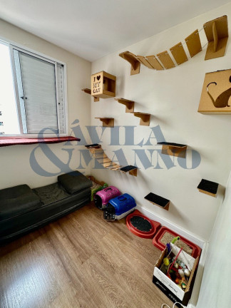Imagem Apartamento com 3 Quartos à Venda, 60 m² em Vila Prudente - São Paulo Imagem Apartamento com 3 Quartos à Venda, 60 m² em Vila Prudente - São Paulo