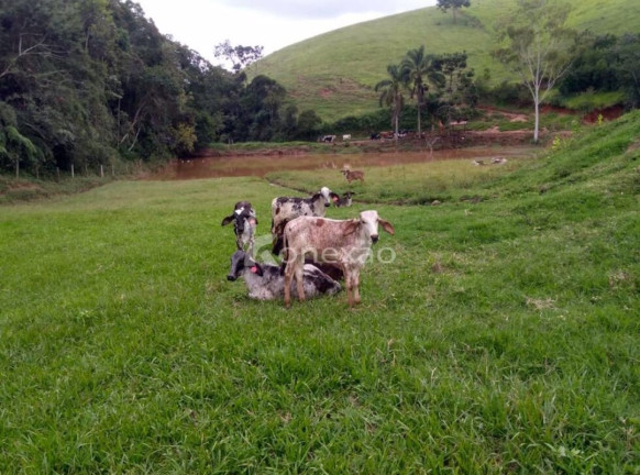 Imagem Fazenda à Venda, 100 m² em Borda Do Campo - Cunha Imagem Fazenda à Venda, 100 m² em Borda Do Campo - Cunha