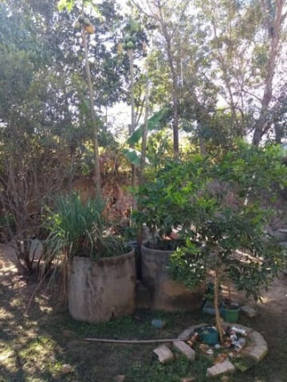 Imagem Casa com 2 Quartos à Venda, 30 m² em Cidade Jardim - Esmeraldas Imagem Casa com 2 Quartos à Venda, 30 m² em Cidade Jardim - Esmeraldas