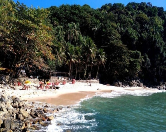 Imagem Imóvel com 4 Quartos à Venda, 300 m² em Morro Sorocotuba - Guarujá