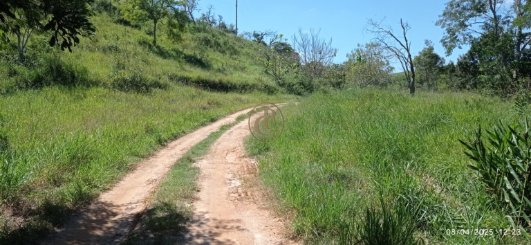 Imagem Chácara à Venda, 63.000 m² em Centro - Santa Branca Imagem Chácara à Venda, 63.000 m² em Centro - Santa Branca