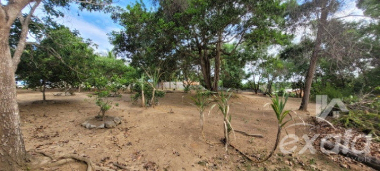 Imagem Chácara com 2 Quartos à Venda, 150 m² em Marbella - Serra Imagem Chácara com 2 Quartos à Venda, 150 m² em Marbella - Serra