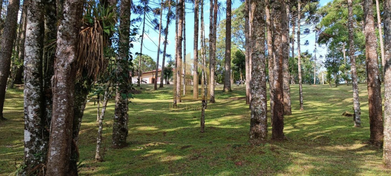 Imagem Chácara com 4 Quartos à Venda, 86.748 m² em São Dimas - Colombo