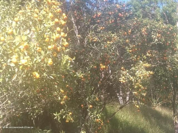 Imagem Chácara à Venda, em Consultar - Ibiúna Imagem Chácara à Venda, em Consultar - Ibiúna
