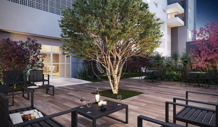 Imagem Apartamento com 3 Quartos à Venda, 81 m² em Vila Mascote - São Paulo Imagem Apartamento com 3 Quartos à Venda, 81 m² em Vila Mascote - São Paulo