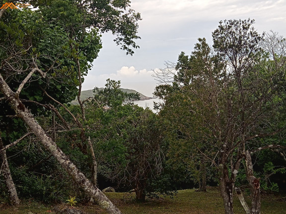 Imagem Terreno à Venda, 3.484 m² em Silveira - Garopaba