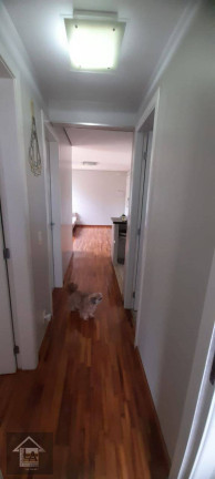 Imagem Apartamento com 3 Quartos à Venda, 62 m² em Vila Andrade - São Paulo Imagem Apartamento com 3 Quartos à Venda, 62 m² em Vila Andrade - São Paulo