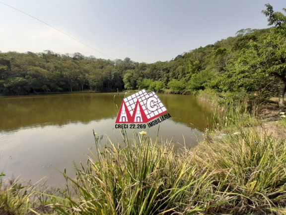 Imagem Imóvel com 3 Quartos à Venda, 310.000 m² em Vila Elvio - Piedade Imagem Imóvel com 3 Quartos à Venda, 310.000 m² em Vila Elvio - Piedade
