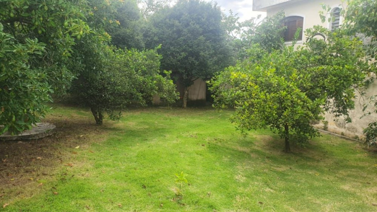 Imagem Terreno à Venda, 350 m² em Centro - Jacareí
