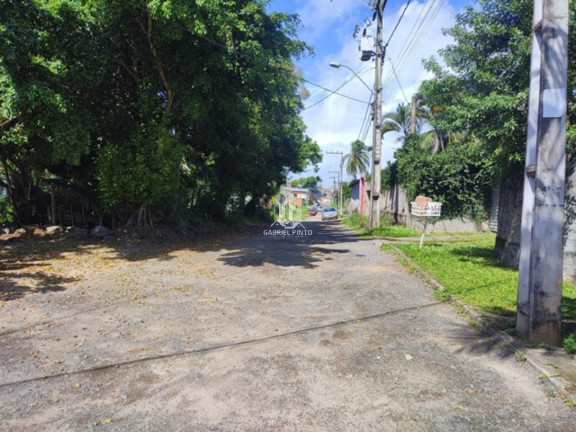 Imagem Terreno à Venda, 981 m² em Pitangueiras - Lauro De Freitas Imagem Terreno à Venda, 981 m² em Pitangueiras - Lauro De Freitas