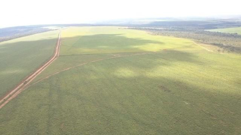 Imagem Fazenda à Venda, 1.300 m² em Zona Rural - Planaltina Imagem Fazenda à Venda, 1.300 m² em Zona Rural - Planaltina