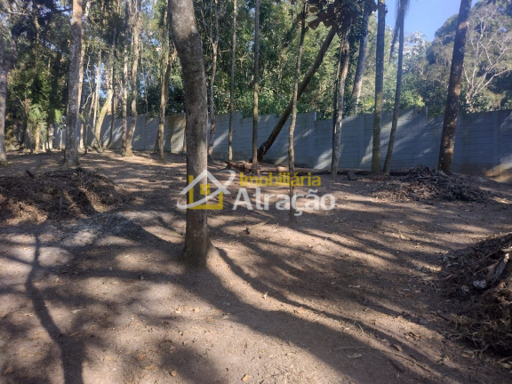 Imagem Imóvel com 2 Quartos à Venda, 3.800 m² em Aruã - Mogi Das Cruzes Imagem Imóvel com 2 Quartos à Venda, 3.800 m² em Aruã - Mogi Das Cruzes