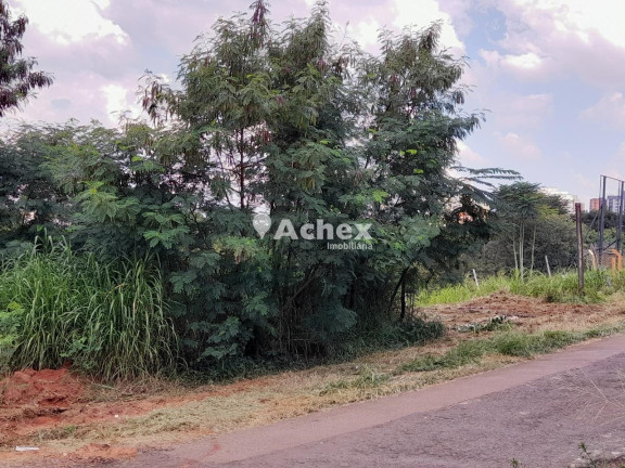 Imagem Terreno à Venda, 1.782 m² em Mansões Santo Antônio - Campinas