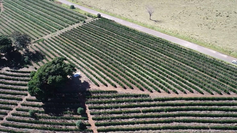 Imagem Fazenda à Venda, 31 m² em Poços De Caldas Imagem Fazenda à Venda, 31 m² em Poços De Caldas