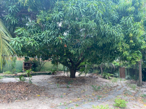 Imagem Terreno à Venda, 2 m² em São Cristóvão Imagem Terreno à Venda, 2 m² em São Cristóvão