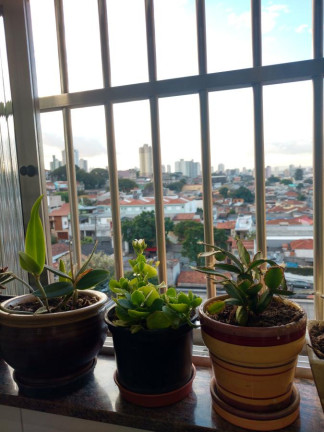 Imagem Apartamento com 2 Quartos à Venda, 50 m² em Sacoma - São Paulo