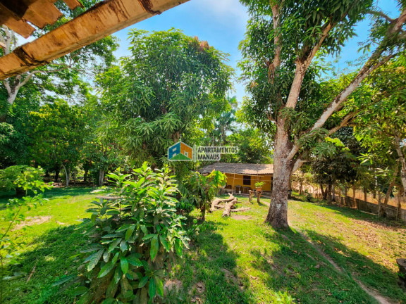 Imagem Chácara com 5 Quartos à Venda, 32.000 m² em Cacau Pirera - Iranduba Imagem Chácara com 5 Quartos à Venda, 32.000 m² em Cacau Pirera - Iranduba