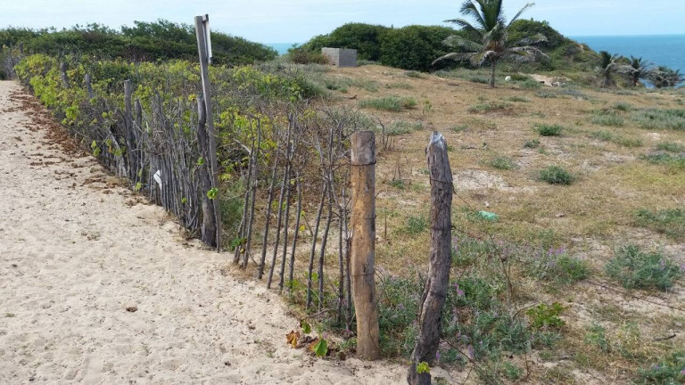 Imagem Terreno à Venda, 3.375 m² em Praia De Redonda - Icapuí Imagem Terreno à Venda, 3.375 m² em Praia De Redonda - Icapuí
