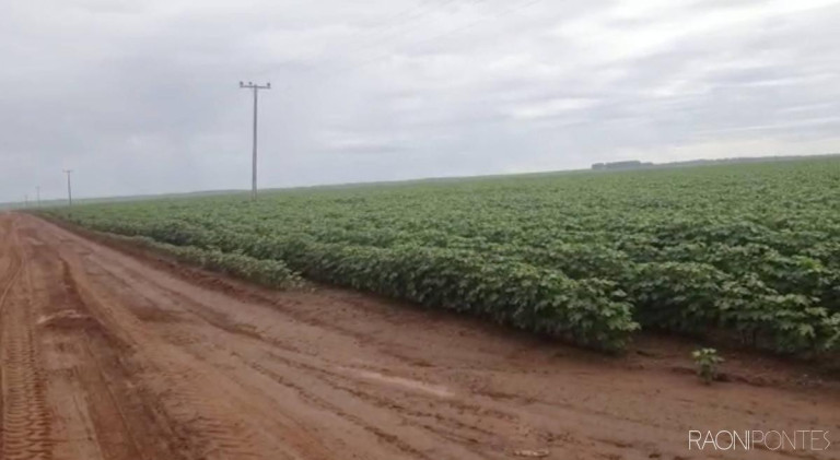 Imagem Fazenda à Venda, 34.060.000 m² em Zona Rural - Novo São Joaquim Imagem Fazenda à Venda, 34.060.000 m² em Zona Rural - Novo São Joaquim