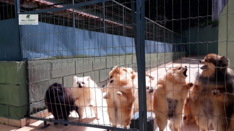 Imagem Chácara com 5 Quartos à Venda, 7.000 m² em Alto Da Serra - São Roque