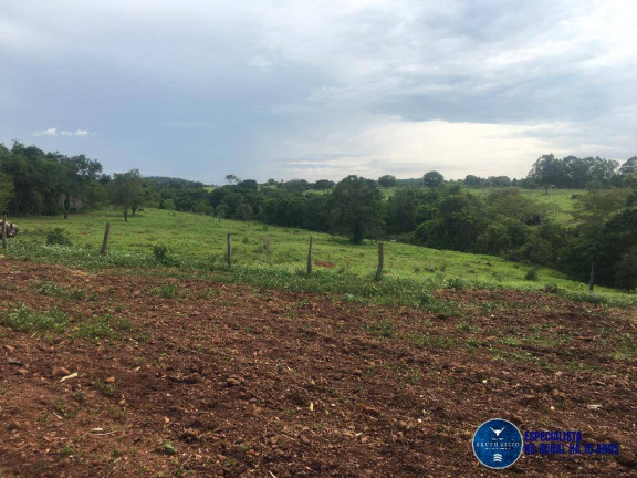 Imagem Chácara à Venda, 24 m² em Zona Rural - Petrolina De Goiás Imagem Chácara à Venda, 24 m² em Zona Rural - Petrolina De Goiás