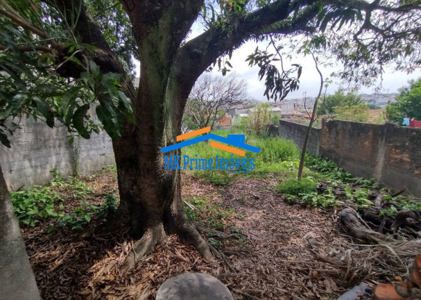 Imagem Terreno à Venda, 446 m² em Vila Nhocune - São Paulo Imagem Terreno à Venda, 446 m² em Vila Nhocune - São Paulo