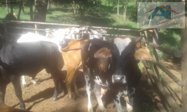 Imagem Fazenda à Venda, 37 m² em Mateus Leme - Mateus Leme
