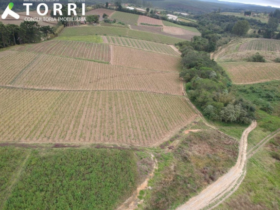 Imagem Imóvel com 5 Quartos à Venda, 500 m² em Abaitinga - São Miguel Arcanjo Imagem Imóvel com 5 Quartos à Venda, 500 m² em Abaitinga - São Miguel Arcanjo