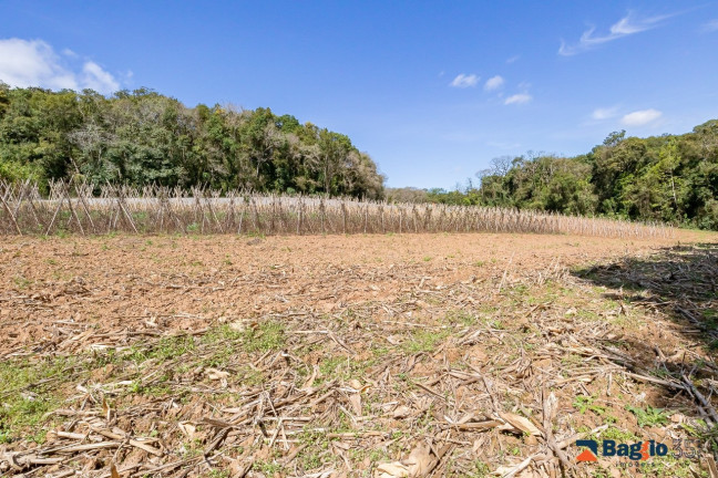 Imagem Imóvel com 1 Quarto à Venda, 56.643 m² em Ferraria - Campo Largo Imagem Imóvel com 1 Quarto à Venda, 56.643 m² em Ferraria - Campo Largo