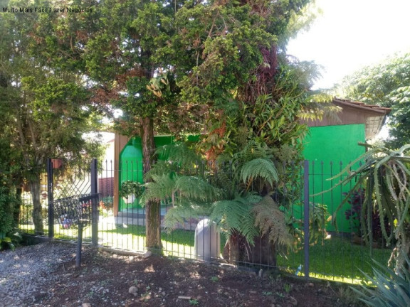 Imagem Casa com 3 Quartos à Venda, 63 m² em Germânia - Nova Petrópolis Imagem Casa com 3 Quartos à Venda, 63 m² em Germânia - Nova Petrópolis