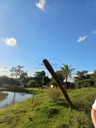 Imagem Fazenda à Venda, 65.340 m² em Bonfim - Pirassununga Imagem Fazenda à Venda, 65.340 m² em Bonfim - Pirassununga