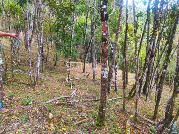Imagem Imóvel com 1 Quarto à Venda, 5.000 m² em Casa Montanha - Delfim Moreira Imagem Imóvel com 1 Quarto à Venda, 5.000 m² em Casa Montanha - Delfim Moreira