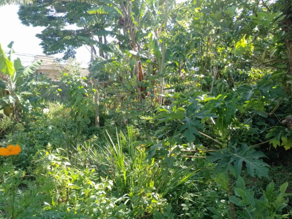 Imagem Terreno à Venda, 900 m² em Interlagos - São Paulo Imagem Terreno à Venda, 900 m² em Interlagos - São Paulo