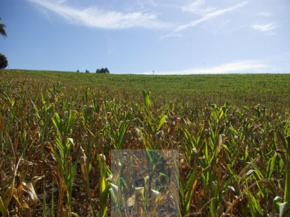 Imagem Imóvel com 2 Quartos à Venda, 665.000 m² em Zona Rural - Jacui Imagem Imóvel com 2 Quartos à Venda, 665.000 m² em Zona Rural - Jacui