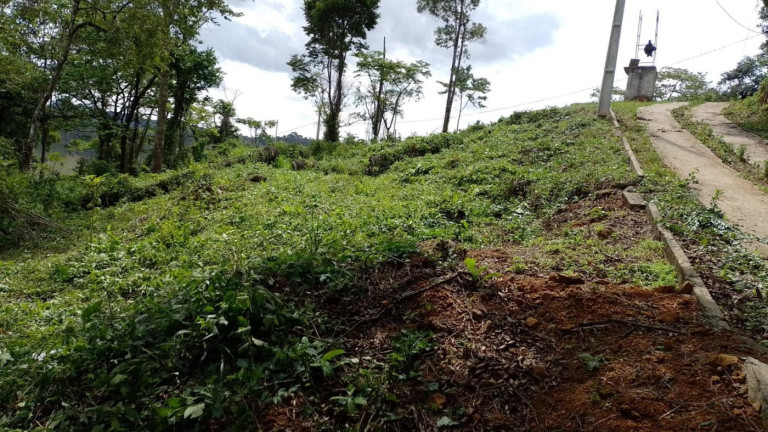 Imagem Terreno à Venda, 517 m² em Laranjeiras - Caldas Imagem Terreno à Venda, 517 m² em Laranjeiras - Caldas