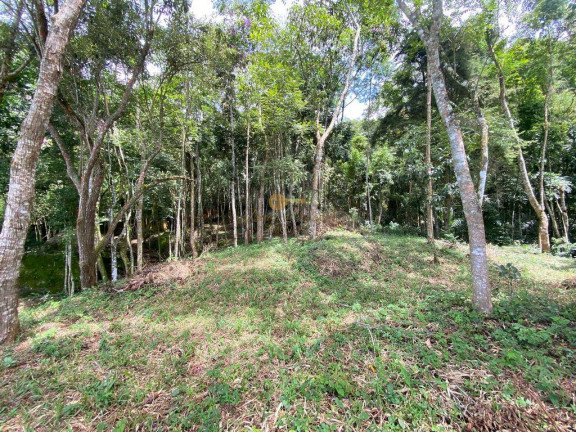 Imagem Terreno à Venda, 4.000 m² em Parque Do Imbui - Teresópolis Imagem Terreno à Venda, 4.000 m² em Parque Do Imbui - Teresópolis