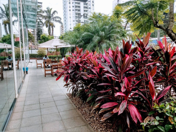 Sala Comercial à Venda, 38 m² em Centro - Joinville