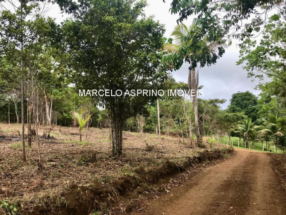 Imagem Imóvel à Venda, 1.000 m² em Jeribucaçu - Itacaré Imagem Imóvel à Venda, 1.000 m² em Jeribucaçu - Itacaré