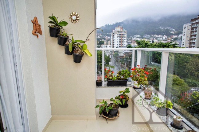 Imagem Apartamento com 2 Quartos à Venda, 69 m² em Trindade - Florianópolis Imagem Apartamento com 2 Quartos à Venda, 69 m² em Trindade - Florianópolis